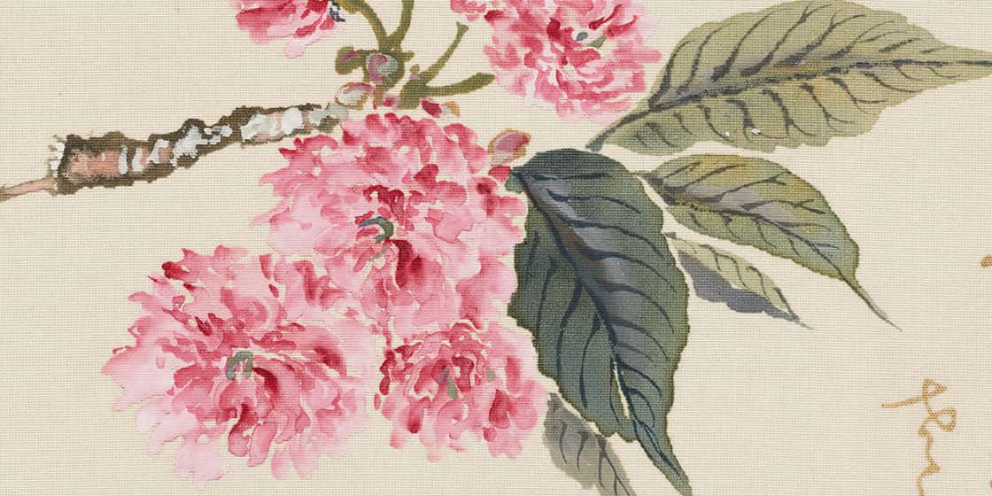 跡見玉枝《桜花図巻》1934年（部分）