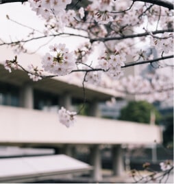 東京国立近代美術館の写真