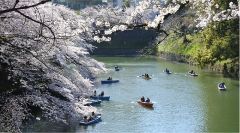 千鳥ヶ淵の写真