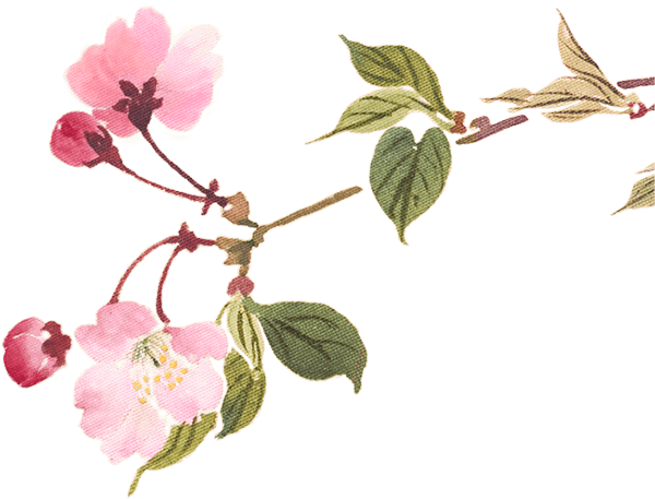 ピンクの花3の画像